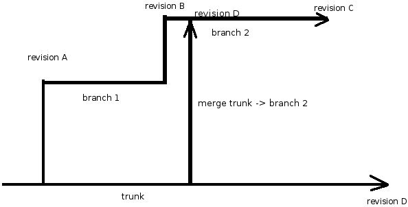 branch.jpg